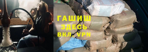 хмурый Белокуриха