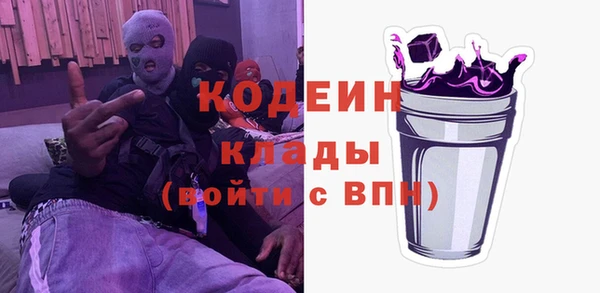 хмурый Белокуриха