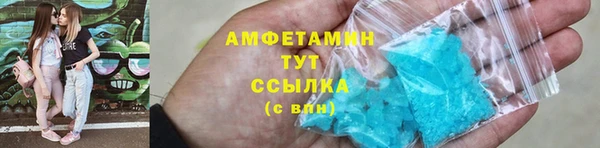хмурый Белокуриха