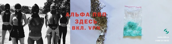 хмурый Белокуриха