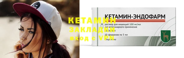 хмурый Белокуриха