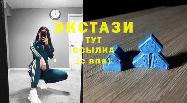 хмурый Белокуриха