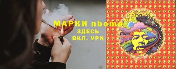 хмурый Белокуриха