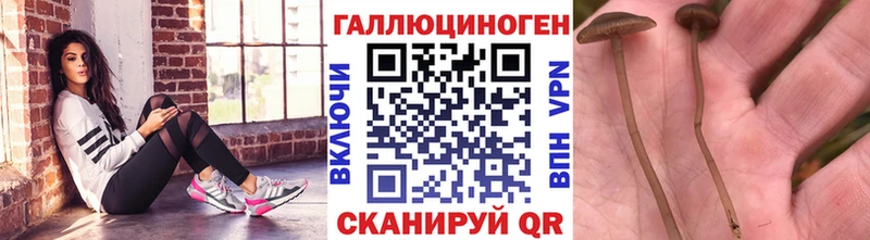 закладки  Сердобск  Псилоцибиновые грибы Magic Shrooms 